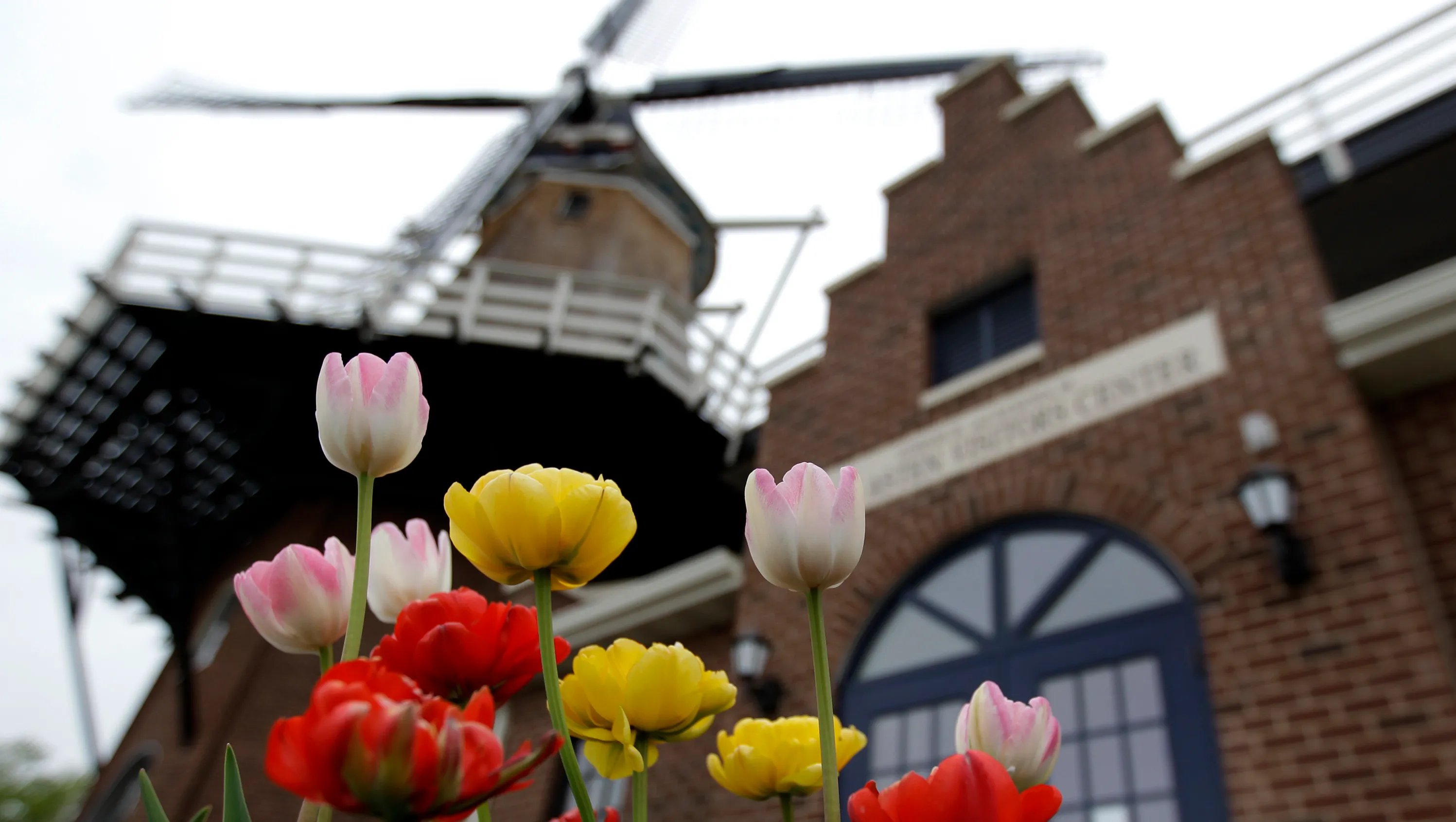 🌷 도나미 튤립 공원(도나미 튤립 코엔) 이미지 8